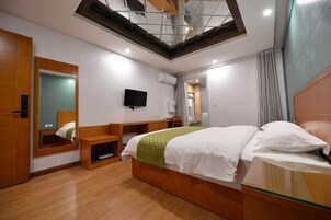Una habitación de hotel con cama, televisión, espejo y tragaluz.