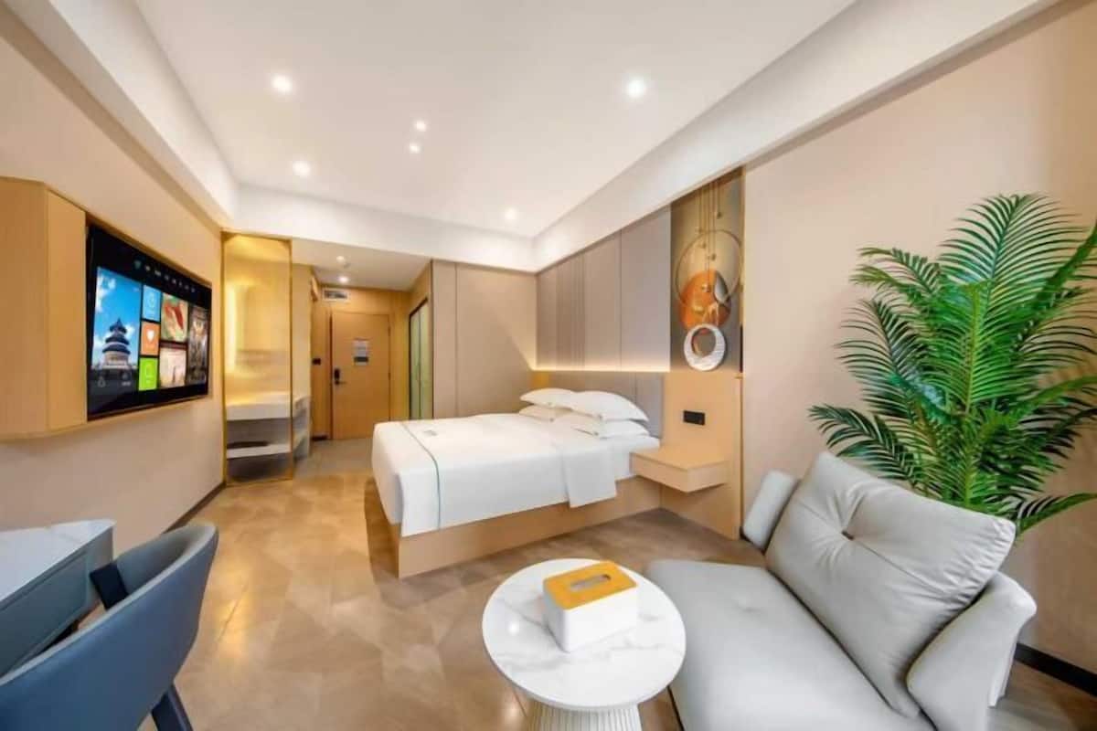 A modern hotel room with a bed, a sofa, a TV, and a plant.