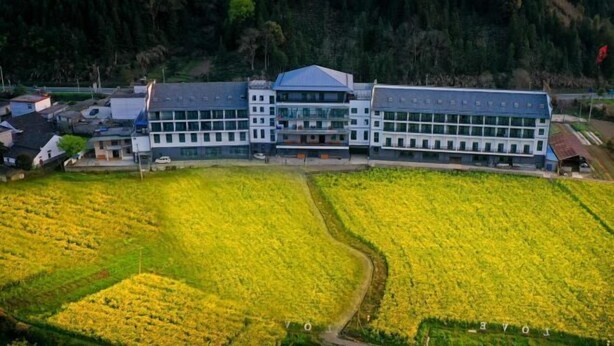 Un edificio moderno con techo plano y ventanas amplias, rodeado de campos de flores amarillas.