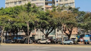 A street with parked cars and trees. - Huaxuan Hotel (Jiangmen)