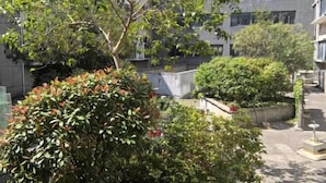 庭園