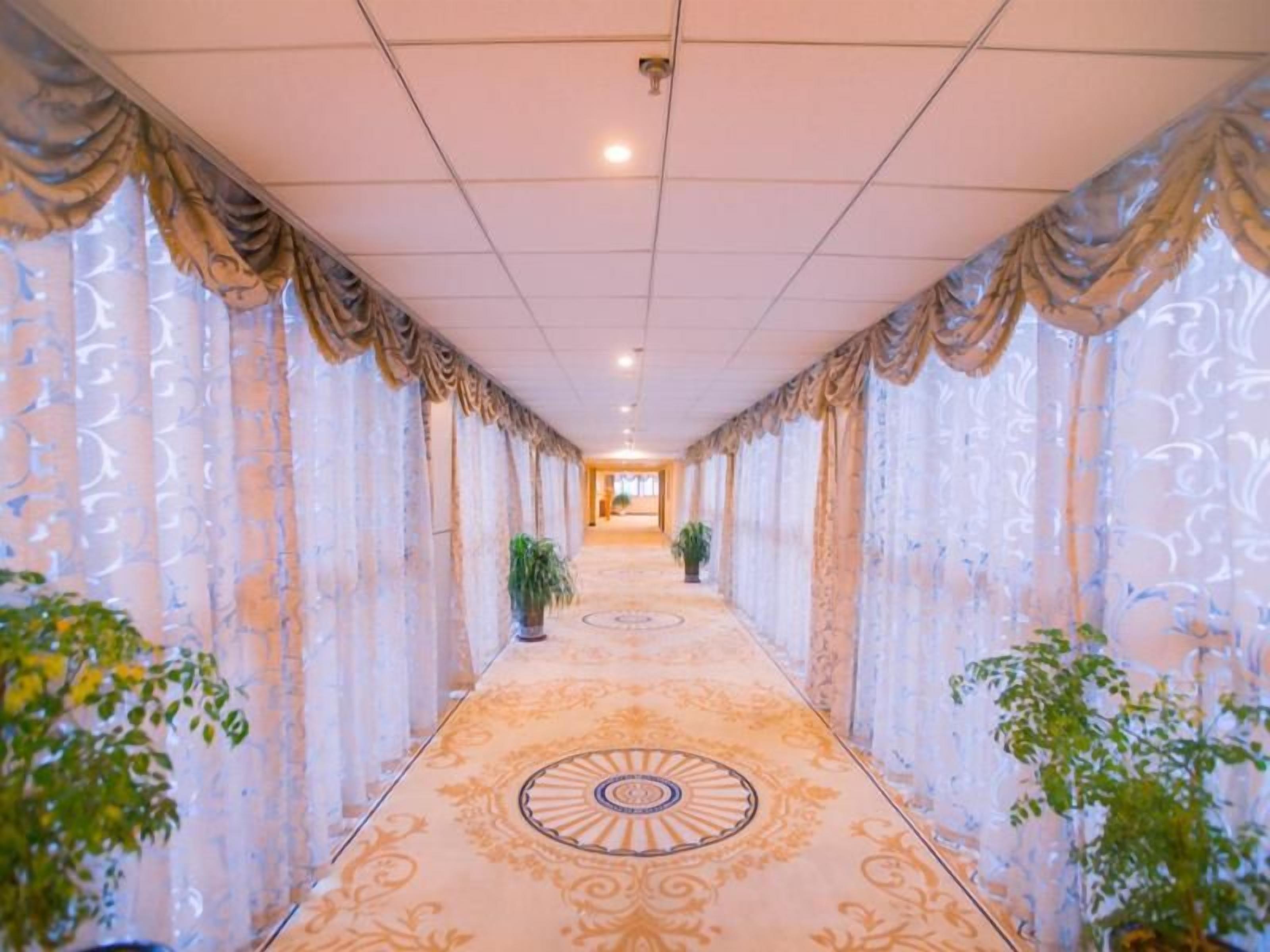 A corridor with patterned carpet, curtains, and potted plants.
