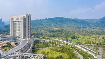 Un edificio moderno con fachada de vidrio curvo, rodeado de un paisaje verde y una autopista.