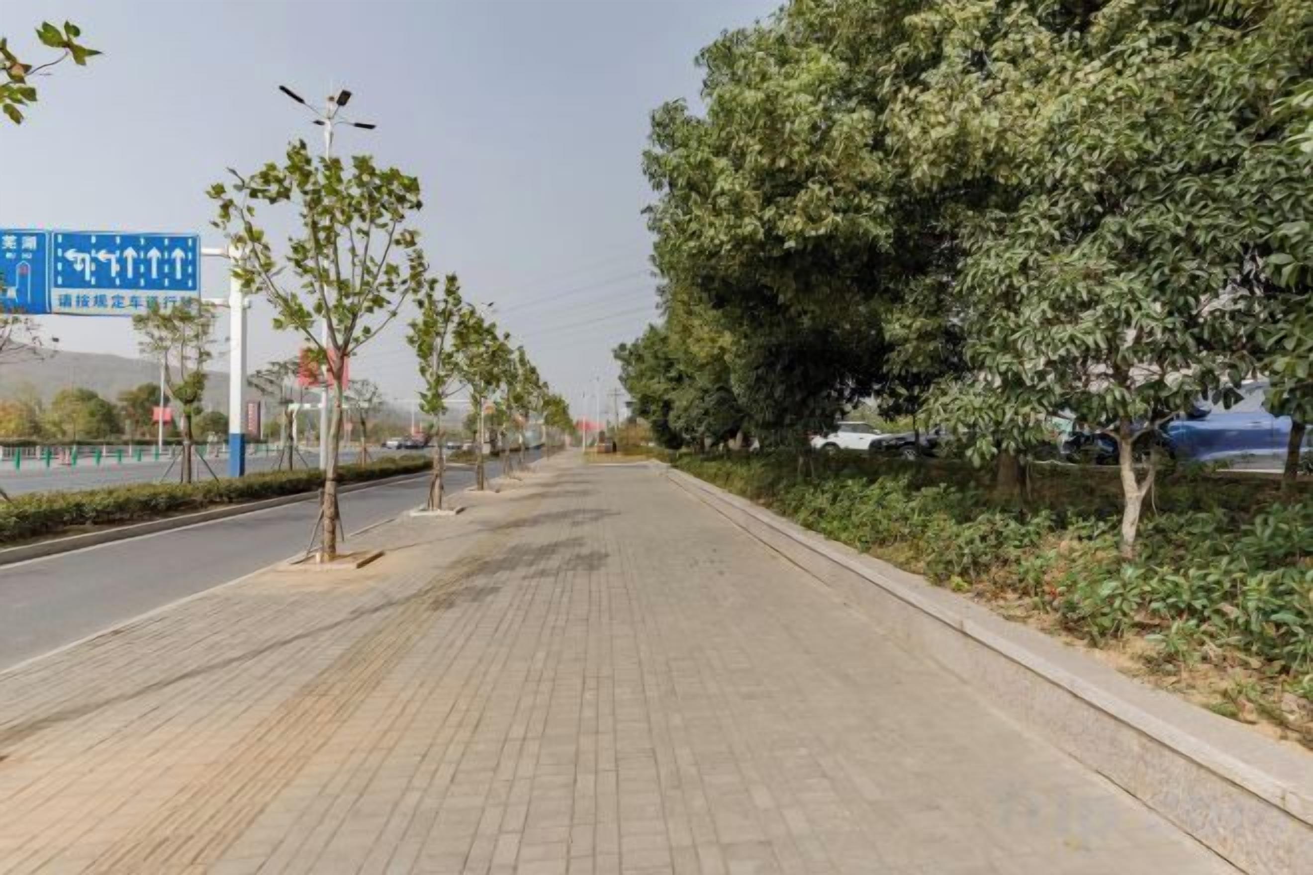 A paved walkway with trees and a blue sign on the left.
