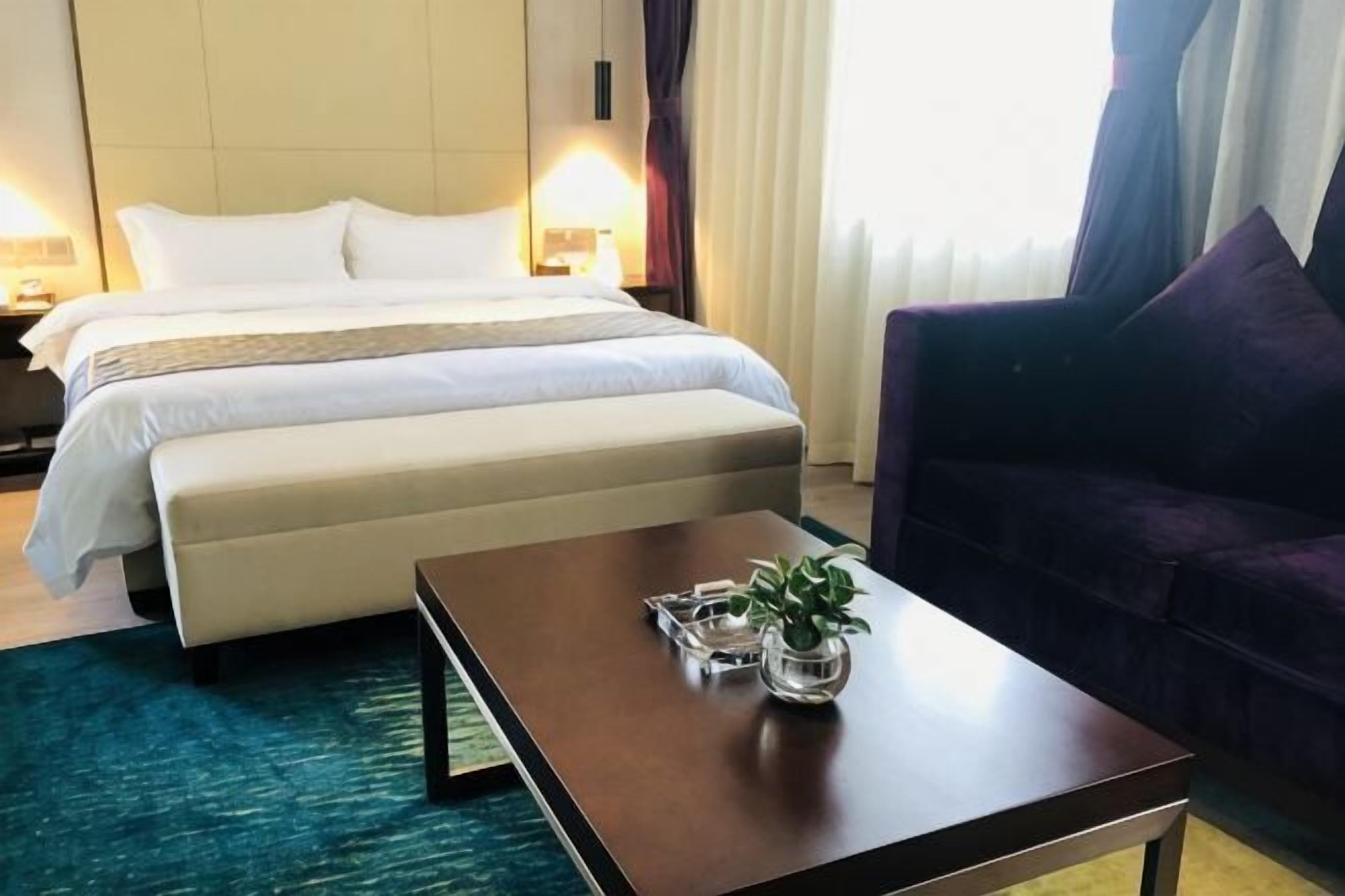 A hotel room with a bed, a sofa, a coffee table with a plant, and a window with curtains.