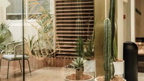 Una habitación con piso de madera, una silla, una planta en maceta, un cactus alto y un altavoz negro.