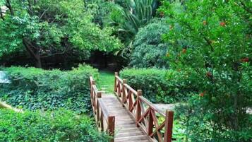 A wooden bridge over a water body surrounded by dense greenery.