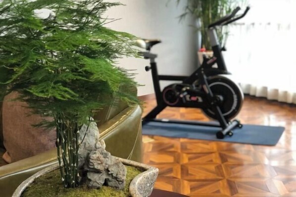 A room with a potted plant, a stationary exercise bike, and a patterned floor. - Yoron Hotel (Nanchang County)