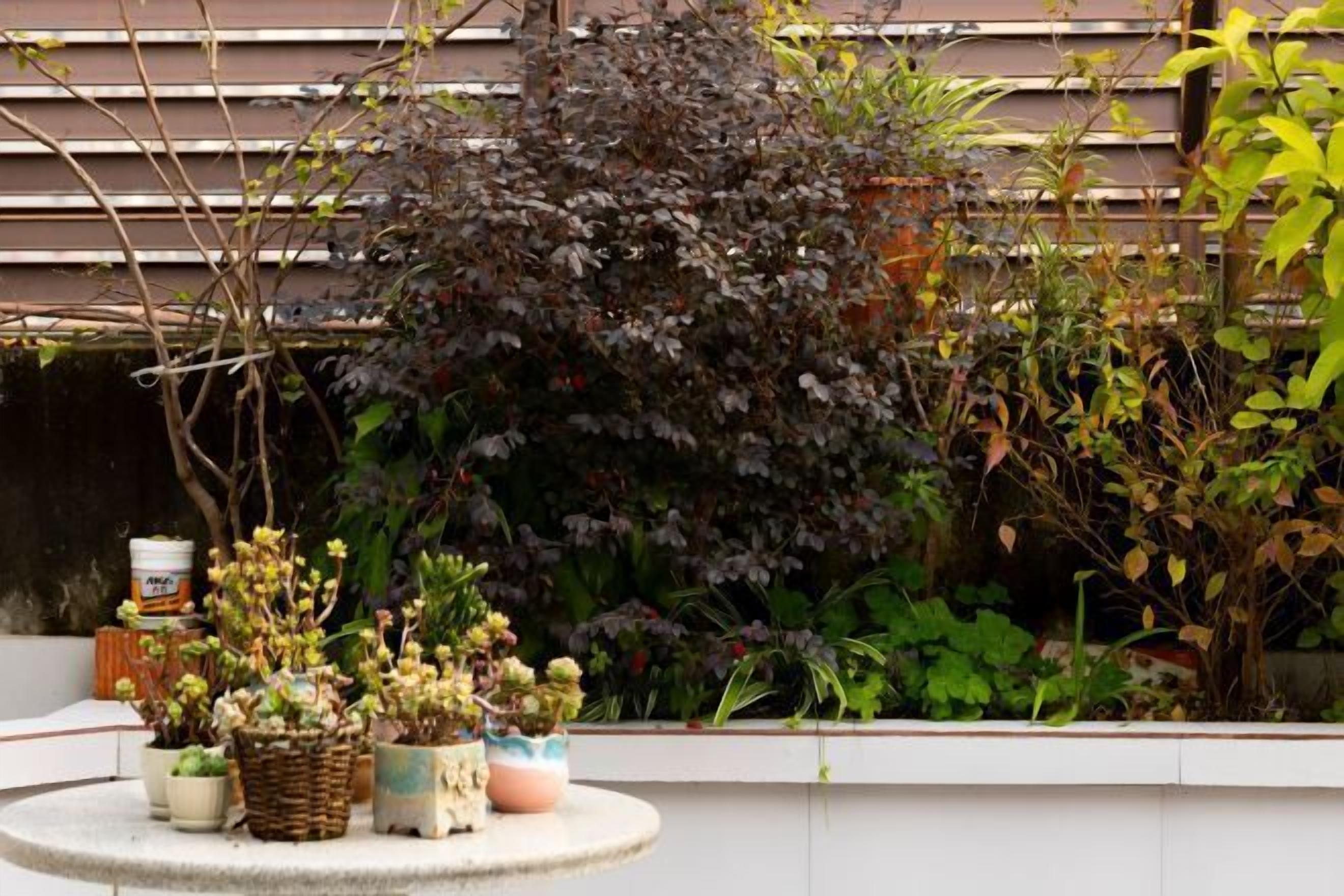 المنشأة من الداخل