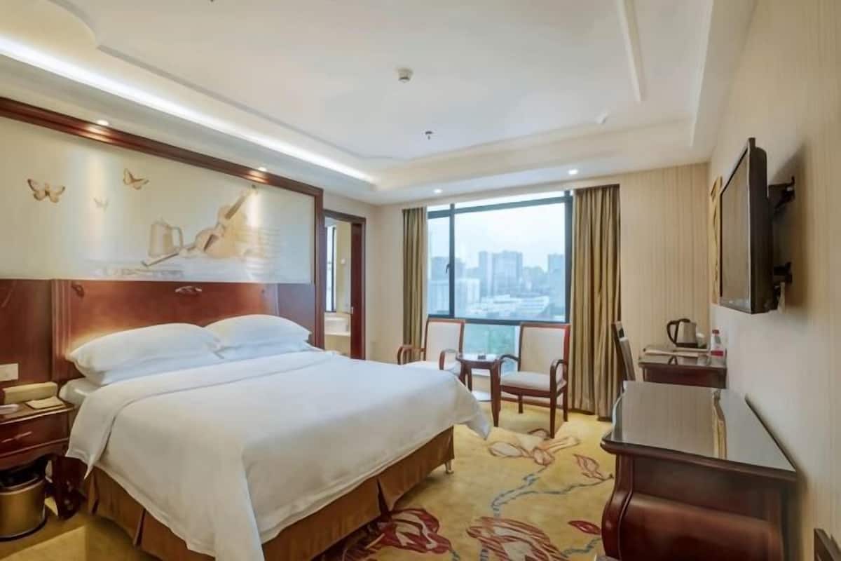 A hotel room with a large bed, a desk, a chair, a TV, and a view of the city.