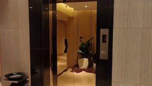 An elevator interior with a wooden finish, a trash bin, and a potted plant.