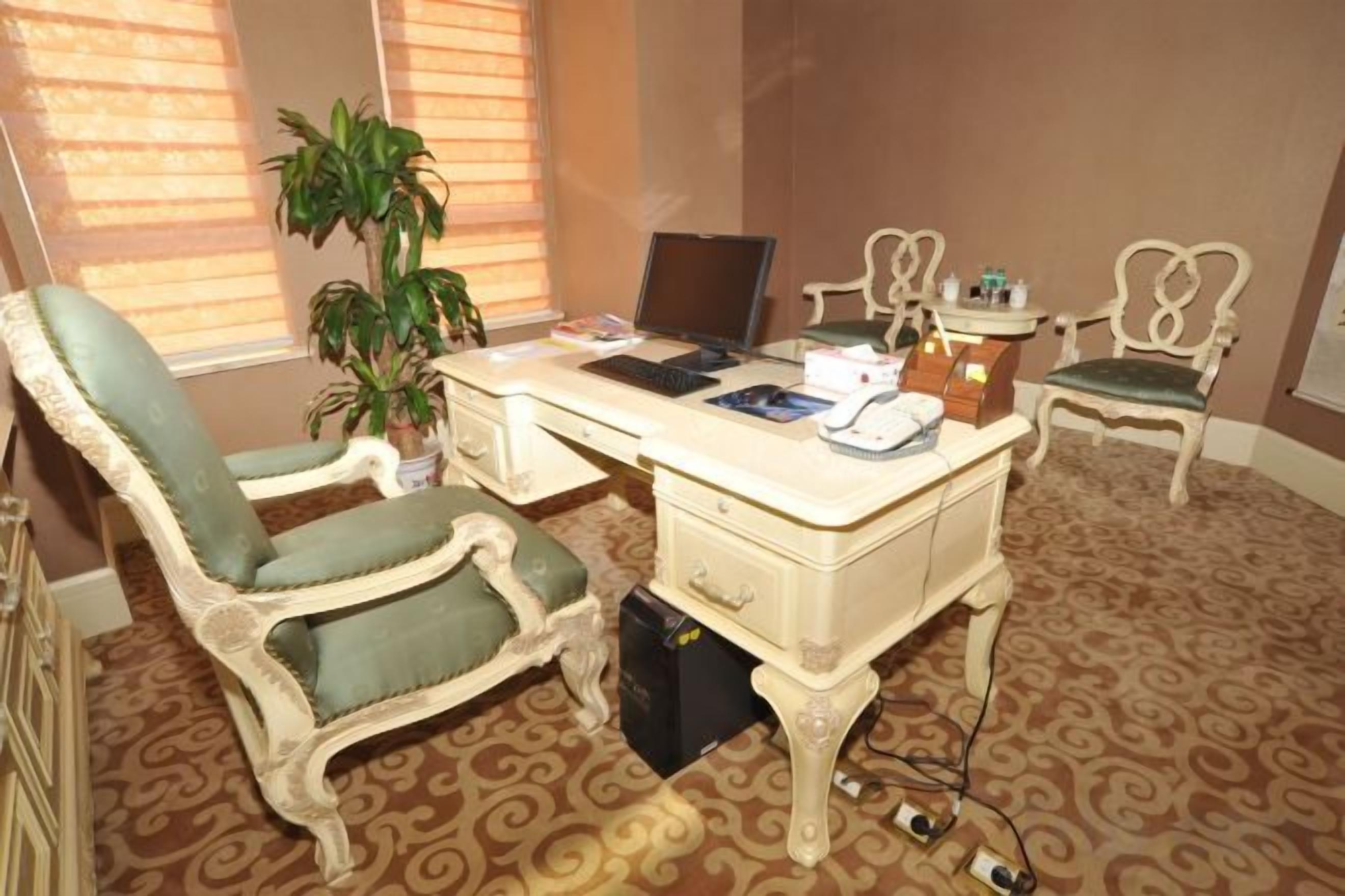 Una habitación con un escritorio, dos sillas, una computadora portátil, una planta en maceta y una alfombra estampada.