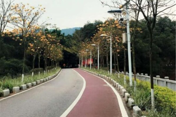 Une route asphaltée avec une piste cyclable rouge, bordée d’arbres et de lampadaires.