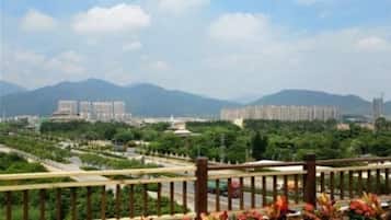 Vista des de l'allotjament