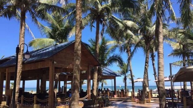 Un restaurant situé en bord de mer, avec une terrasse, des palmiers et une vue sur l’océan.