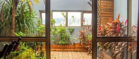A room with a wooden floor, a window with a view of a cityscape, and various indoor plants.