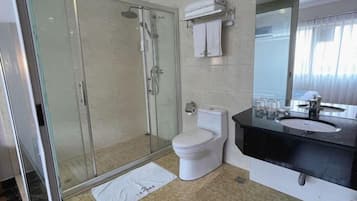 A modern bathroom with a glass shower enclosure, a white toilet, a black sink, and a large mirror.