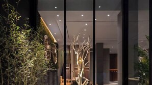 Ein modernes Interieur mit Glaswänden, Zimmerpflanzen und einer Rezeption.