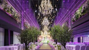 Meeting facility - Apollo Regalia Hotel & Resort (Yueyang)