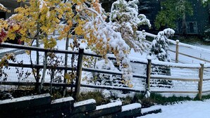 A snow-covered landscape with trees and a wooden fence. - Ideally Located, Sun Valley Chalet (Ketchum)