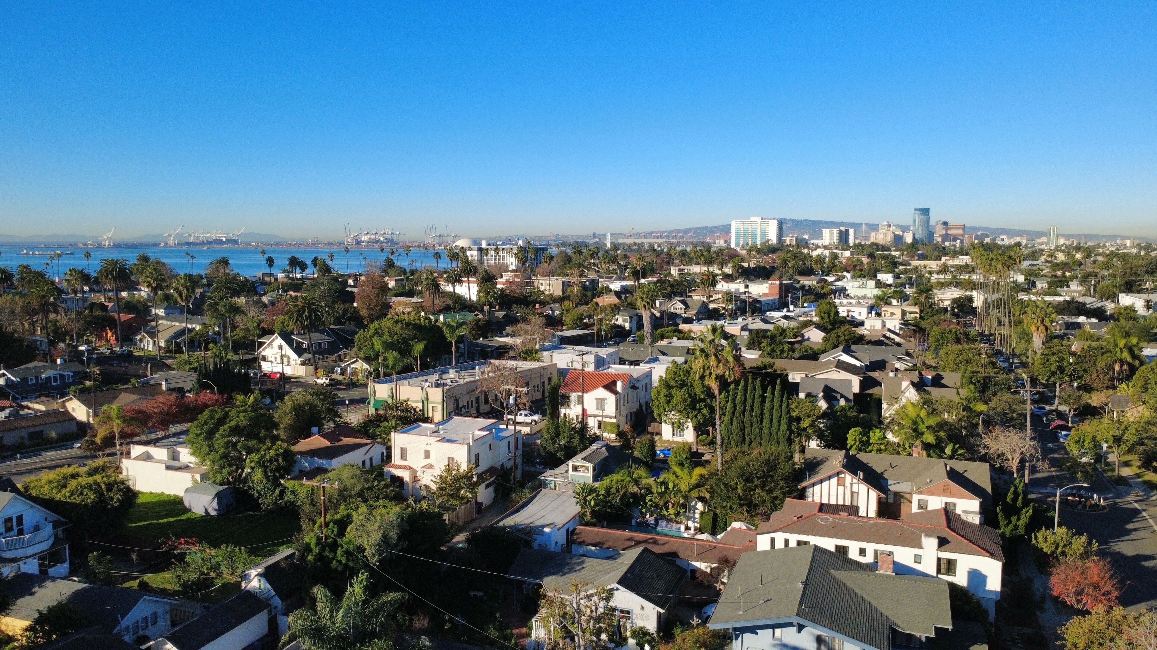 A residential area with houses, palm trees, and a distant view of a city skyline.