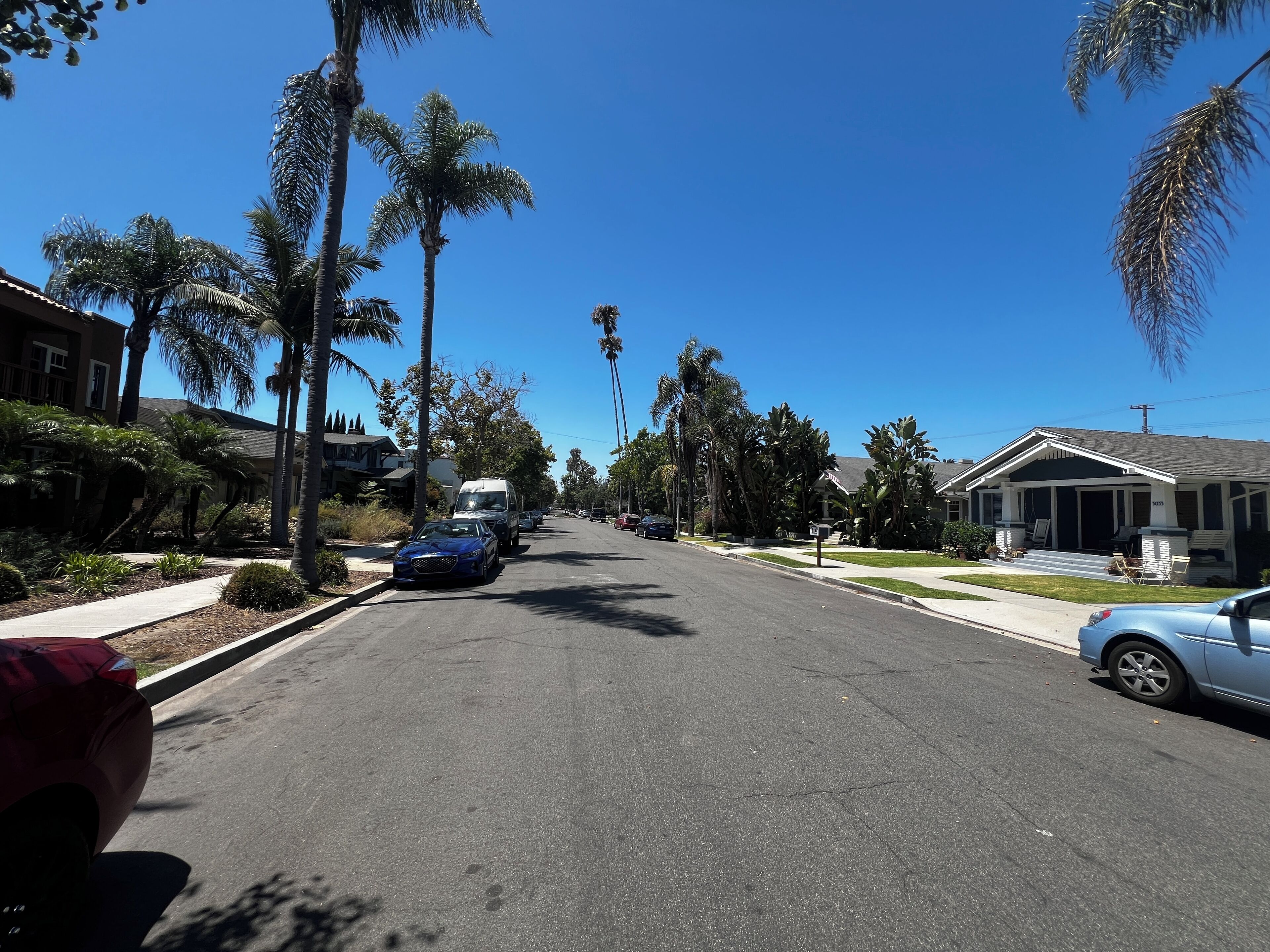 A residential street lined with palm trees and houses.