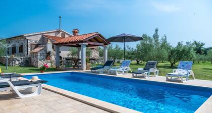 Comfortable house with swimming pool, in quiet village