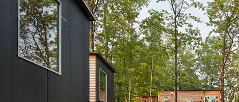 Vista desde la propiedad