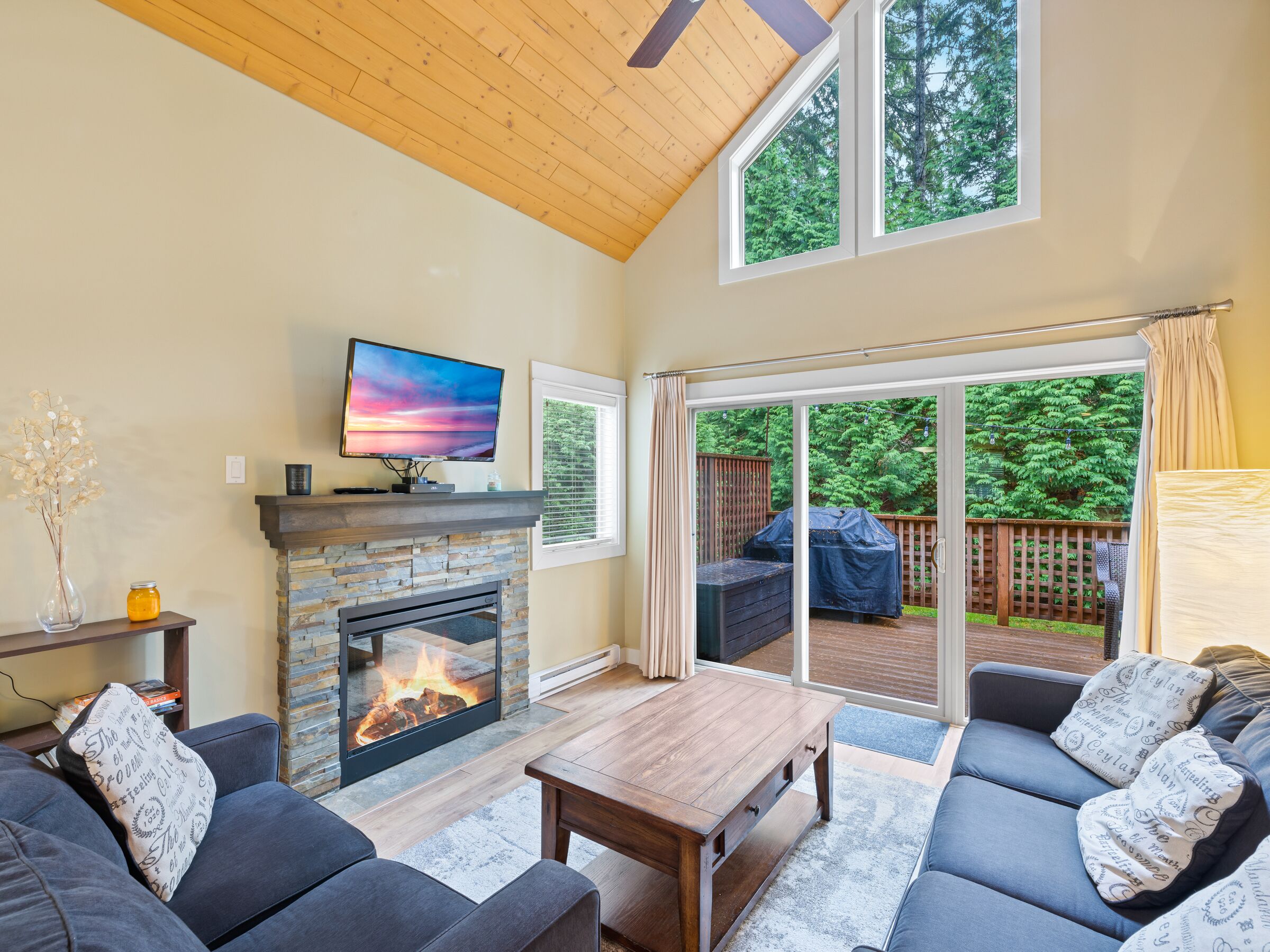 Älytelevisio, takka