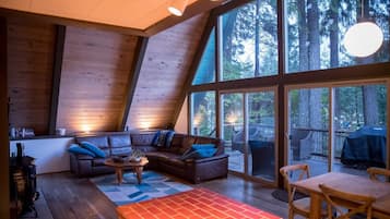 Smart TV, fireplace, DVD player, books