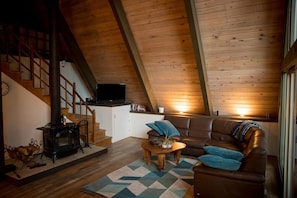 Smart TV, fireplace, DVD player, books