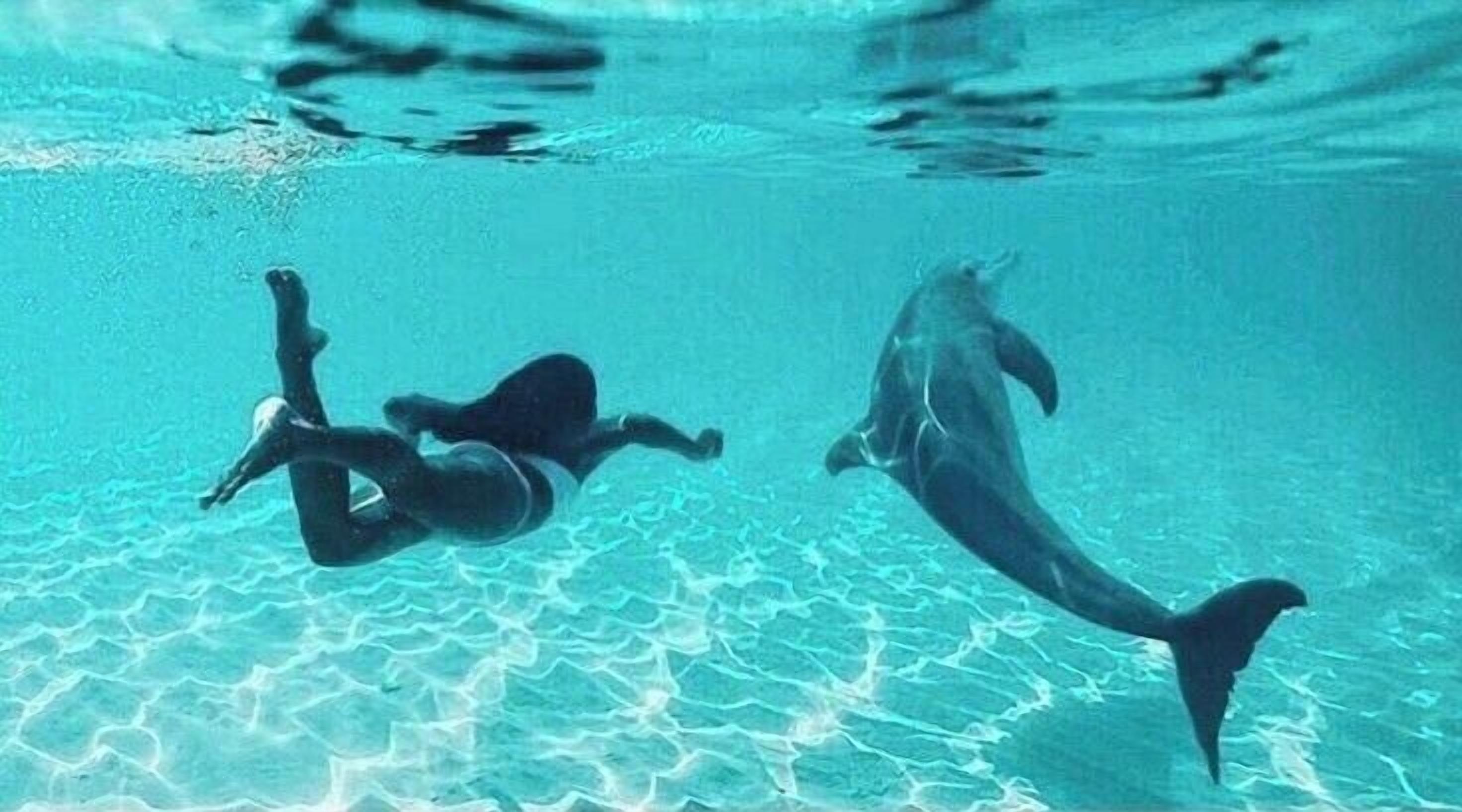 A diver swimming with a dolphin in clear blue water.