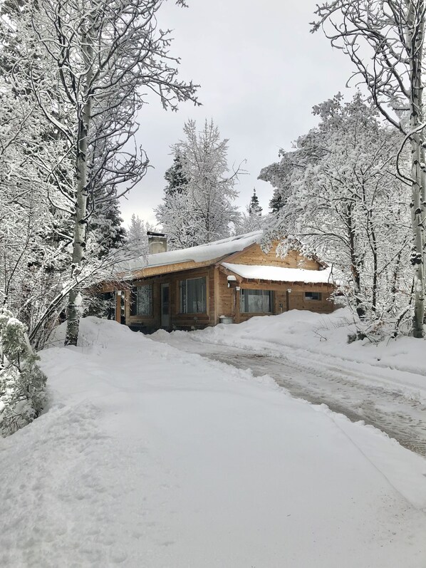 Exterior - SKI Cool Cabin in the Woods (Midway)