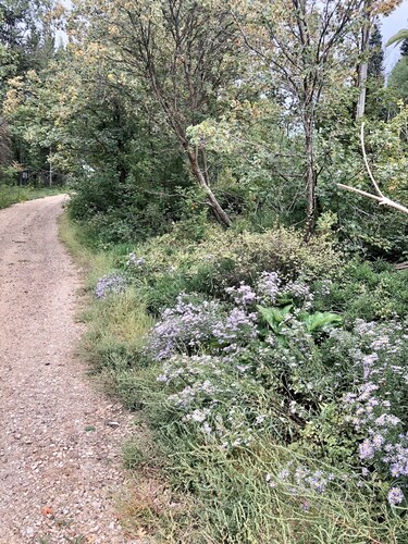 SKI Cool Cabin in the Woods