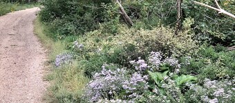 SKI Cool Cabin in the Woods