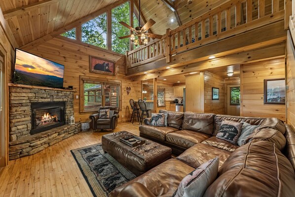 Télévision, cheminée, jeux vidéo, baby-foot