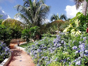 Property grounds - Villa is Ocean Front, 1st floor deck pool , 2nd floor decks, Sint Maarten (Cupecoy Beach, Lowlands)