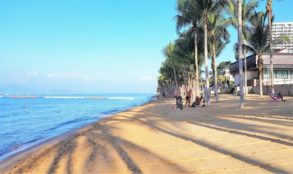 Guests can enjoy a serene beachside setting with palm trees and a sandy shore.
