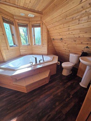 Shower, jetted tub, towels, toilet paper - Lake home off season Sept to May.  (Clear Lake)