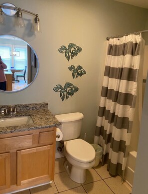 Combined shower/tub, hair dryer, towels, soap