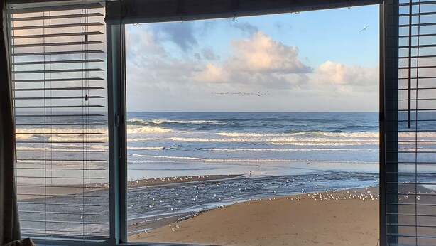 Vista al océano a través de una ventana con persianas, olas y aves en la playa.