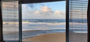 A view of the ocean through a window with blinds, waves, and birds on the beach.