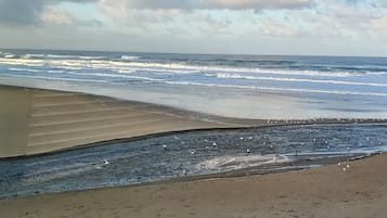 Plage, chaises longues, serviettes de plage