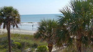 A beach with palm trees and a fence. - 5-Star Lakefront Beach House in Ocean Lakes (Myrtle Beach)