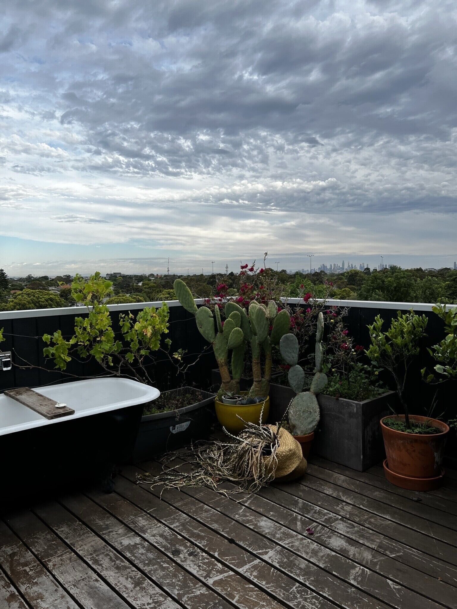 City Views In Brighton East — image 16