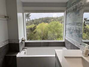 Combined shower/tub, hair dryer, towels, soap