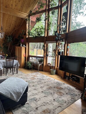 Smart TV, fireplace, books - Aspen Tree Ranch w Hot Tub Evergreen Colorado (Evergreen)