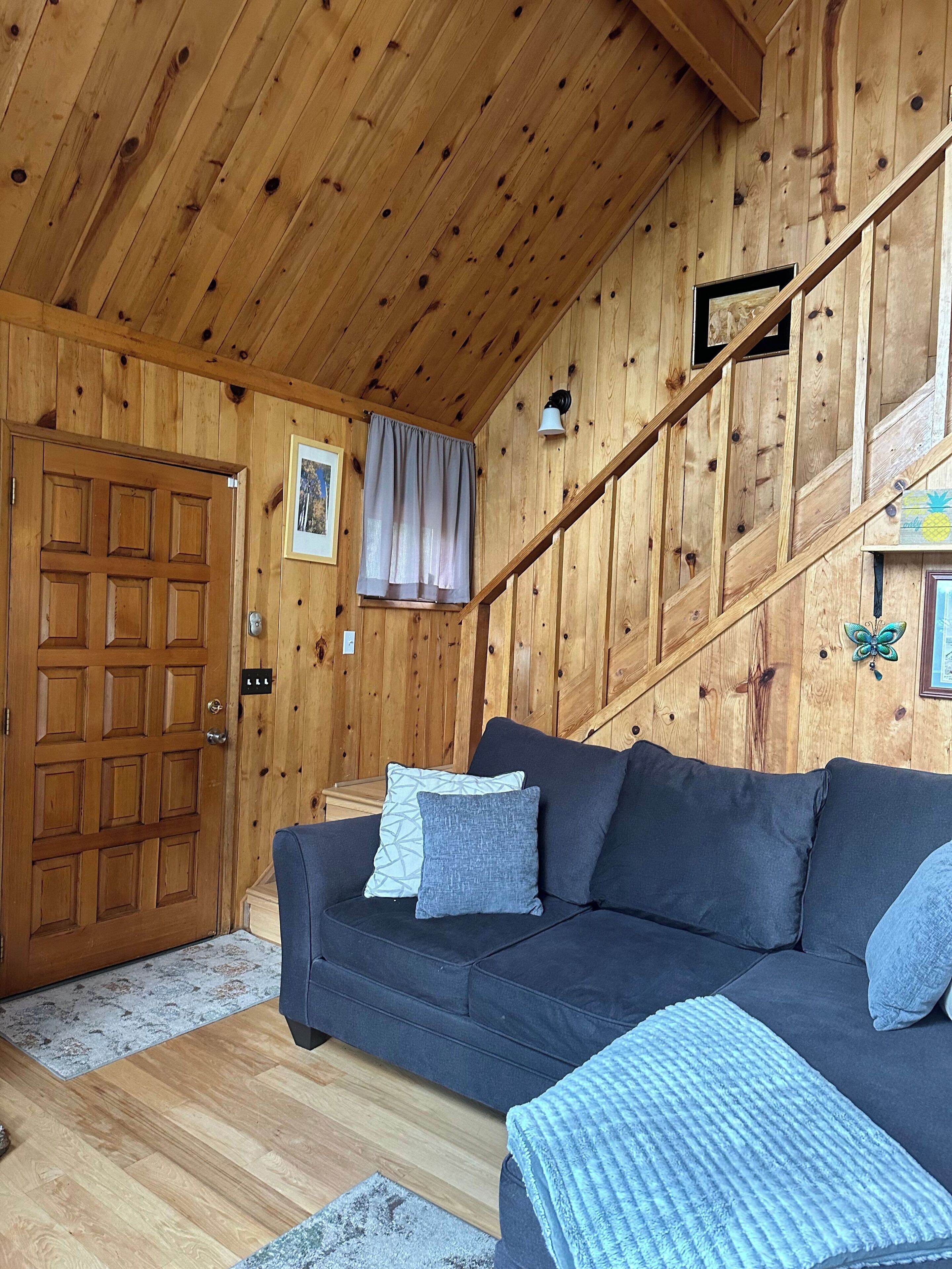 A wooden interior with a dark sofa, a door, and a staircase.