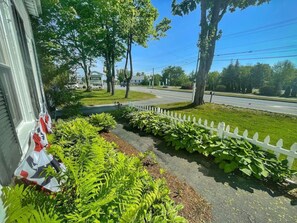 A residential street with a white picket fence, lush green plants, and a clear blue sky.