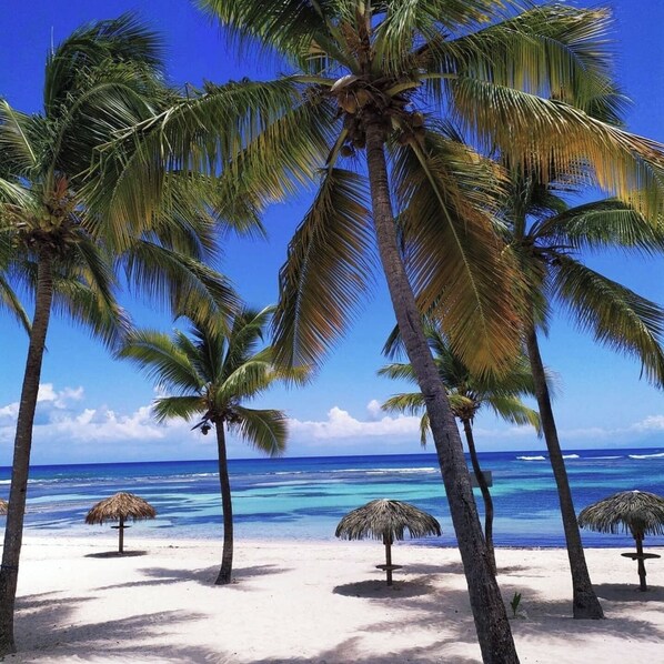 Beach nearby, sun loungers